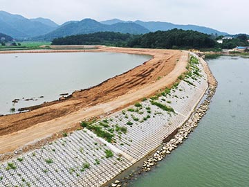 安慶菜子湖國(guó)家濕地公園生態(tài)護(hù)堤